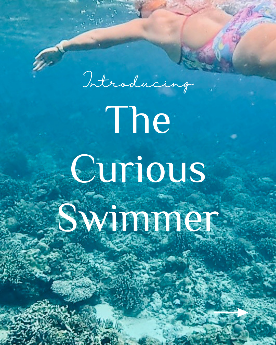 The Curious Swimmer Membership