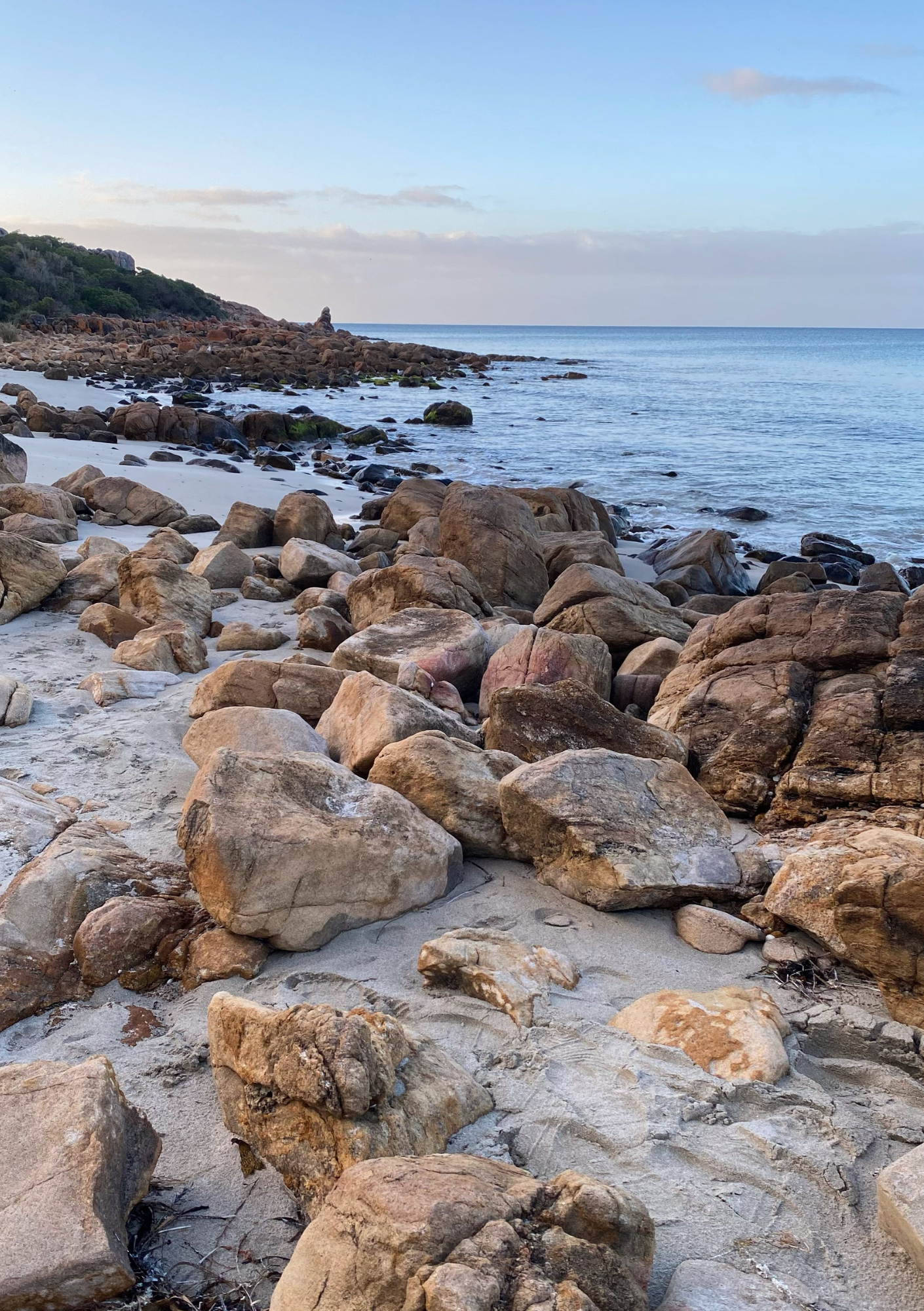 Dry Docked: A Companion to the Wild Waters Ocean Swimming Journal