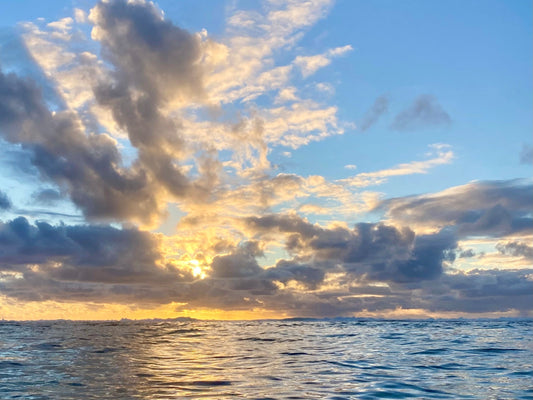Introducing Wild Waters Ocean Swimming Journal