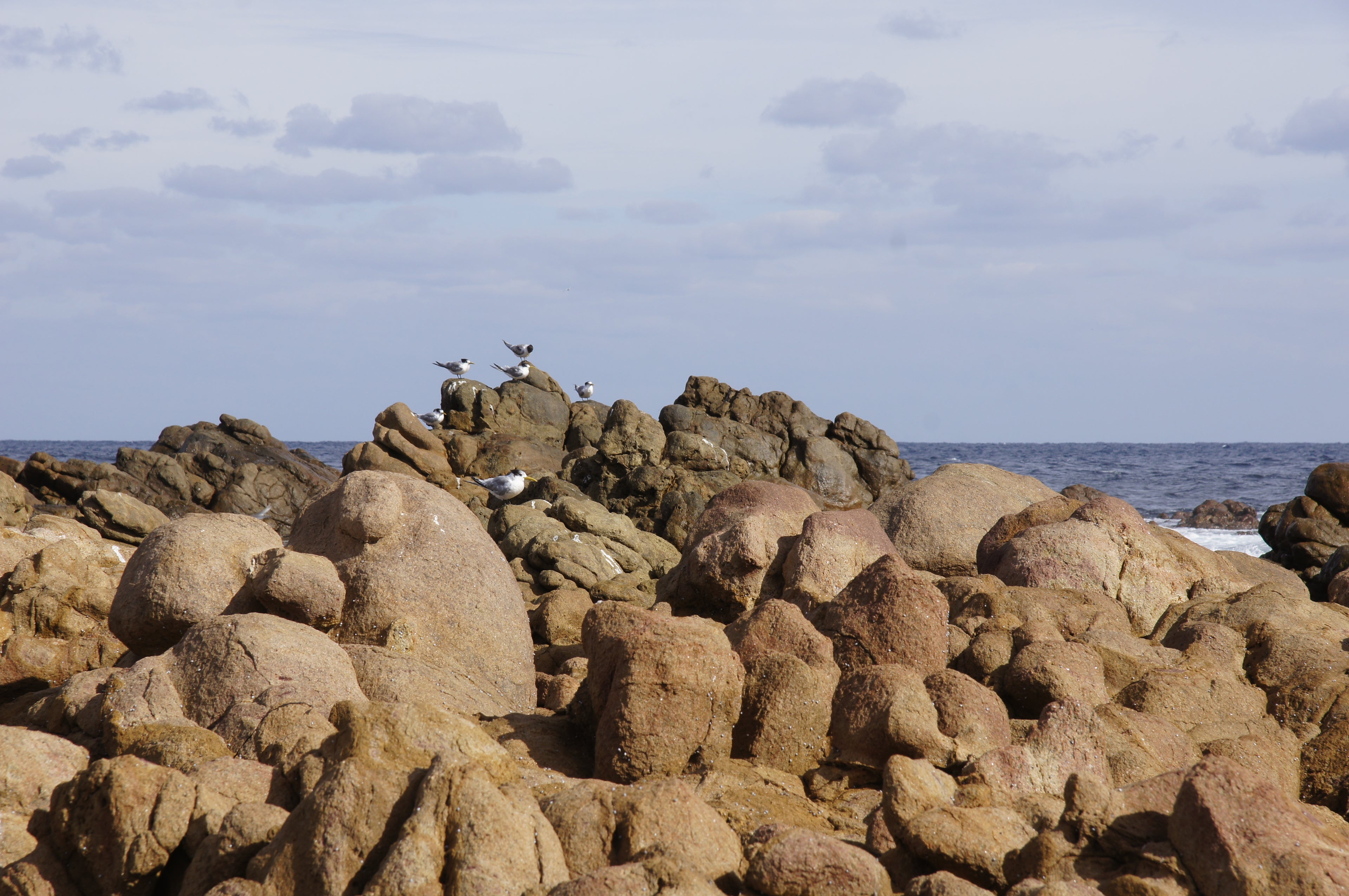 A rocky coastal scene with large tan and brown boulders in the foreground, the ocean in the distance, and a pale blue sky with scattered clouds above.