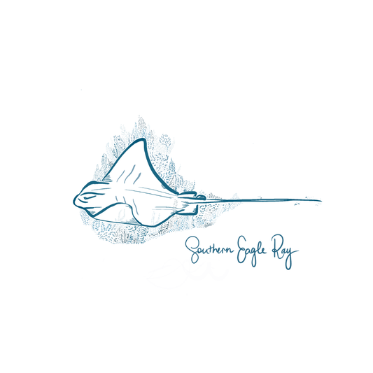 Southern Eagle Ray Hand-Drawn Art Print